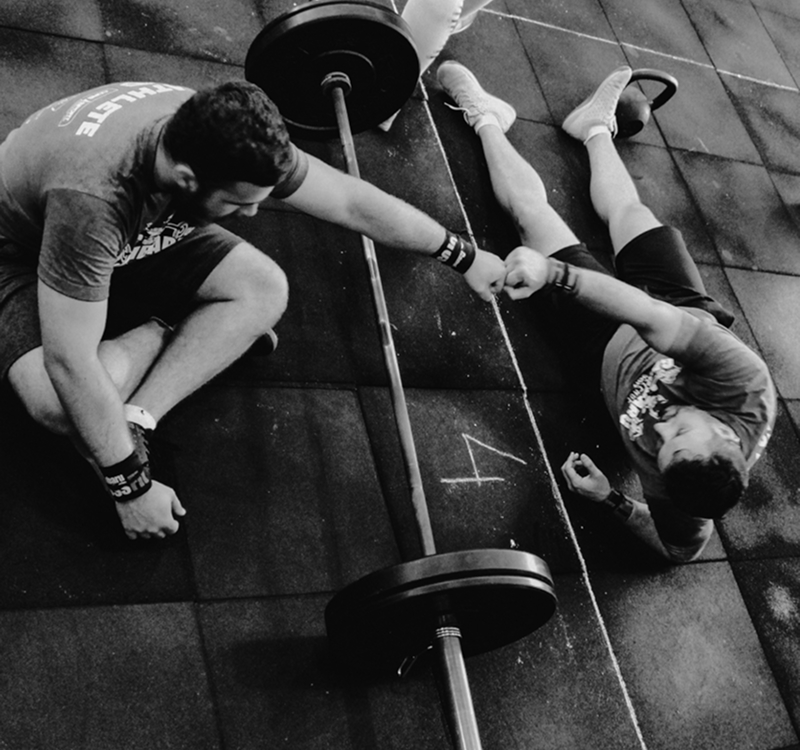 Training Process